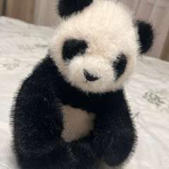 Фото отзыва 10520068