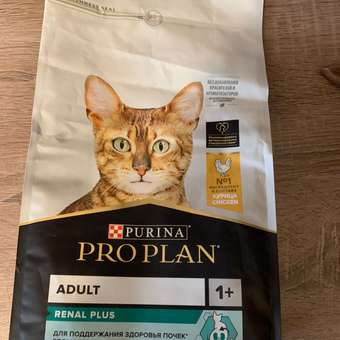Корм сухой для кошек PRO PLAN 1.5кг с курицей: отзыв пользователя. Зоомагазин Зоозавр