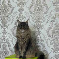 Фото отзыва 11029462