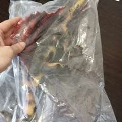 Фото отзыва 10935914