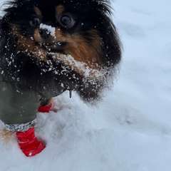 Фото отзыва 10861890