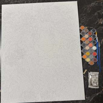 Картина по номерам Art sensation Огненный лев в ассортименте: отзыв пользователя Детский Мир