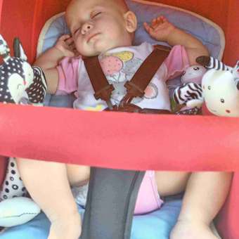 Коляска прогулочная Babyton Urban Red красный: отзыв пользователя ДетМир