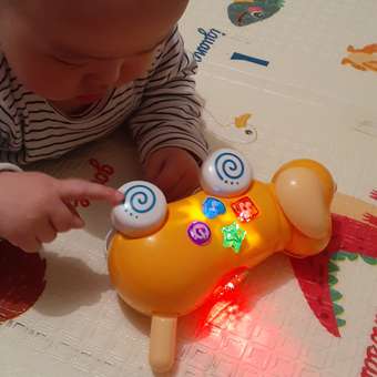 Собака BabyGo Собачка-проектор: отзыв пользователя Детский Мир