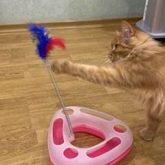 Фото отзыва 5717804