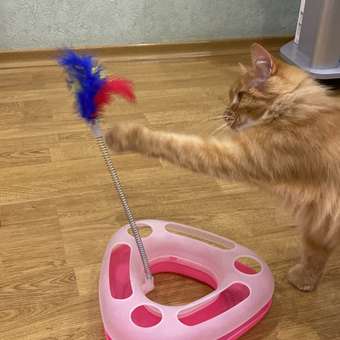 Трек для кошек Ripoma розовый: отзыв пользователя. Зоомагазин Зоозавр