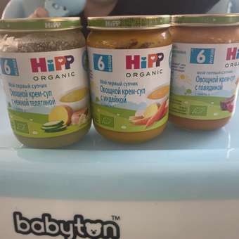 Готовый обед Hipp Крем-суп Овощи-индейка с 6 мес 190 г: отзыв пользователя Детский Мир