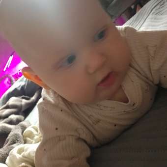 Боди 3 шт Milimbi: отзыв пользователя Детский Мир