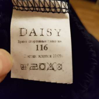 Брюки Daisy: отзыв пользователя Детский Мир