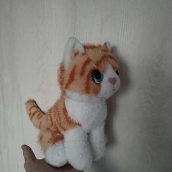 Мягкая игрушка Мульти Пульти котик Кошка Рыжая: отзыв пользователя Детский Мир