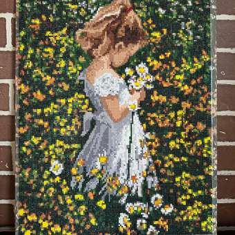 Алмазная мозаика Art on Canvas На лугу в ассортименте: отзыв пользователя Детский Мир