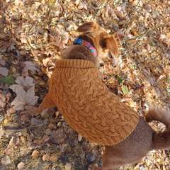 Фото отзыва 10525159