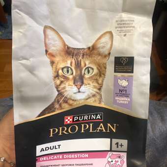 Корм сухой для кошек PRO PLAN DELICATE DIGESTION 1.5 кг с индейкой: отзыв пользователя. Зоомагазин Зоозавр