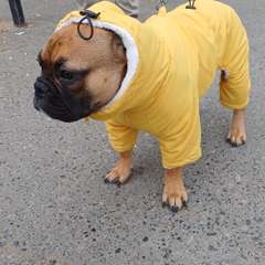 Фото отзыва 10499432