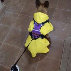 Фото отзыва 10583433