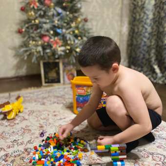 Конструктор Mega Construx Wonder Builders 790 дет.: отзыв пользователя Детский Мир