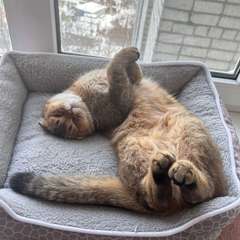 Фото отзыва 10950868