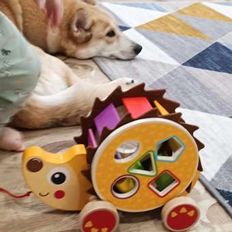 Игрушка Tooky Toy каталка: отзыв пользователя Детский Мир