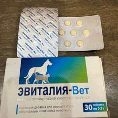 Фото отзыва 10952773