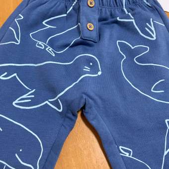 Брюки Chicco: отзыв пользователя Детский Мир