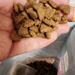 Фото отзыва 10736785