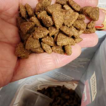 Корм для собак PRO PLAN Duo delice мелких и карликовых пород говядина с рисом 700г: отзыв пользователя. Зоомагазин Зоозавр