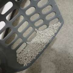 Фото отзыва 11017620