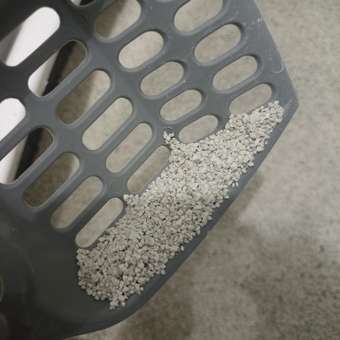 Наполнитель для кошек Homecat Silver series премиум комкующийся 5кг: отзыв пользователя. Зоомагазин Зоозавр