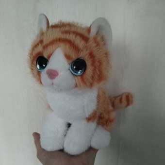 Мягкая игрушка Мульти Пульти котик Кошка Рыжая: отзыв пользователя Детский Мир