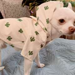 Фото отзыва 10932958