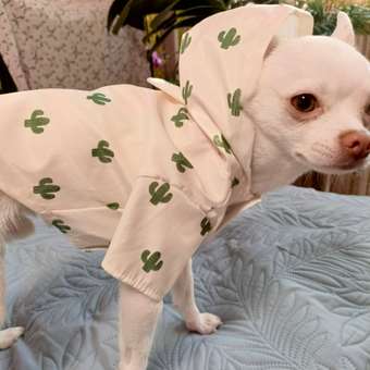 Ветровка для собак Зоозавр: отзыв пользователя. Зоомагазин Зоозавр