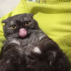 Фото отзыва 10579938