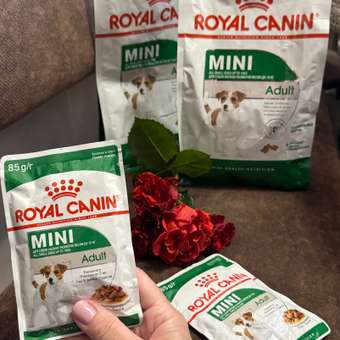 Корм для собак ROYAL CANIN мелких пород 800г: отзыв пользователя. Зоомагазин Зоозавр