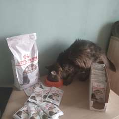 Фото отзыва 10520593