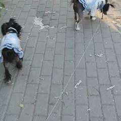 Видео отзыва 9730296