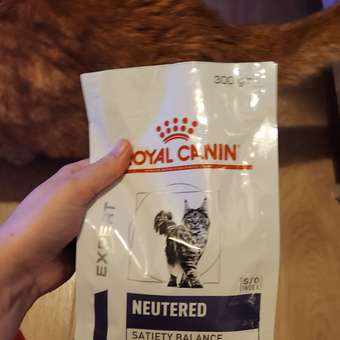 Корм для кошек ROYAL CANIN Neutered Satiety Balance стерилизованных 300г: отзыв пользователя. Зоомагазин Зоозавр