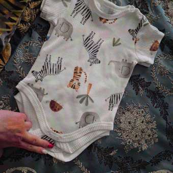 Боди BabyGo: отзыв пользователя Детский Мир