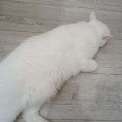 Фото отзыва 10697613