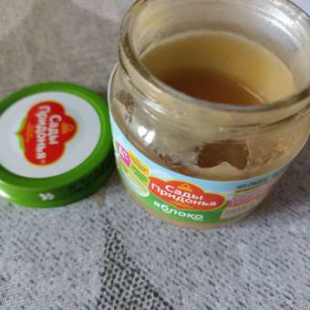 Пюре Сады Придонья Яблоко с 4 мес 80 г: отзыв пользователя Детский Мир