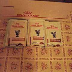 Фото отзыва 11030737