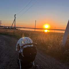 Фото отзыва 10282215