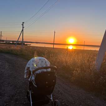 Коляска 3в1 Babyton Flexi Ride Black-Beige бежевый: отзыв пользователя Детский Мир