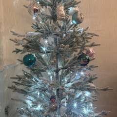 Фото отзыва 10712428