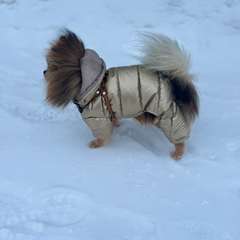 Фото отзыва 10850363