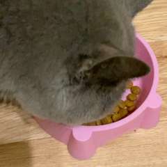 Видео отзыва 10728207