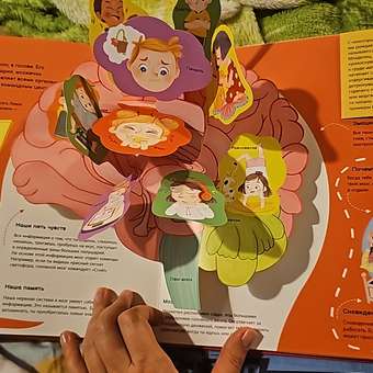Книга Я и мое тело Энциклопедия с объемными конструкциями: отзыв пользователя Детский Мир