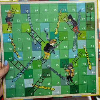 Настольная игра Djeco: отзыв пользователя Детский Мир