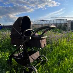 Фото отзыва 10461135