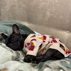 Фото отзыва 10937074