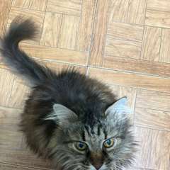 Фото отзыва 10986175